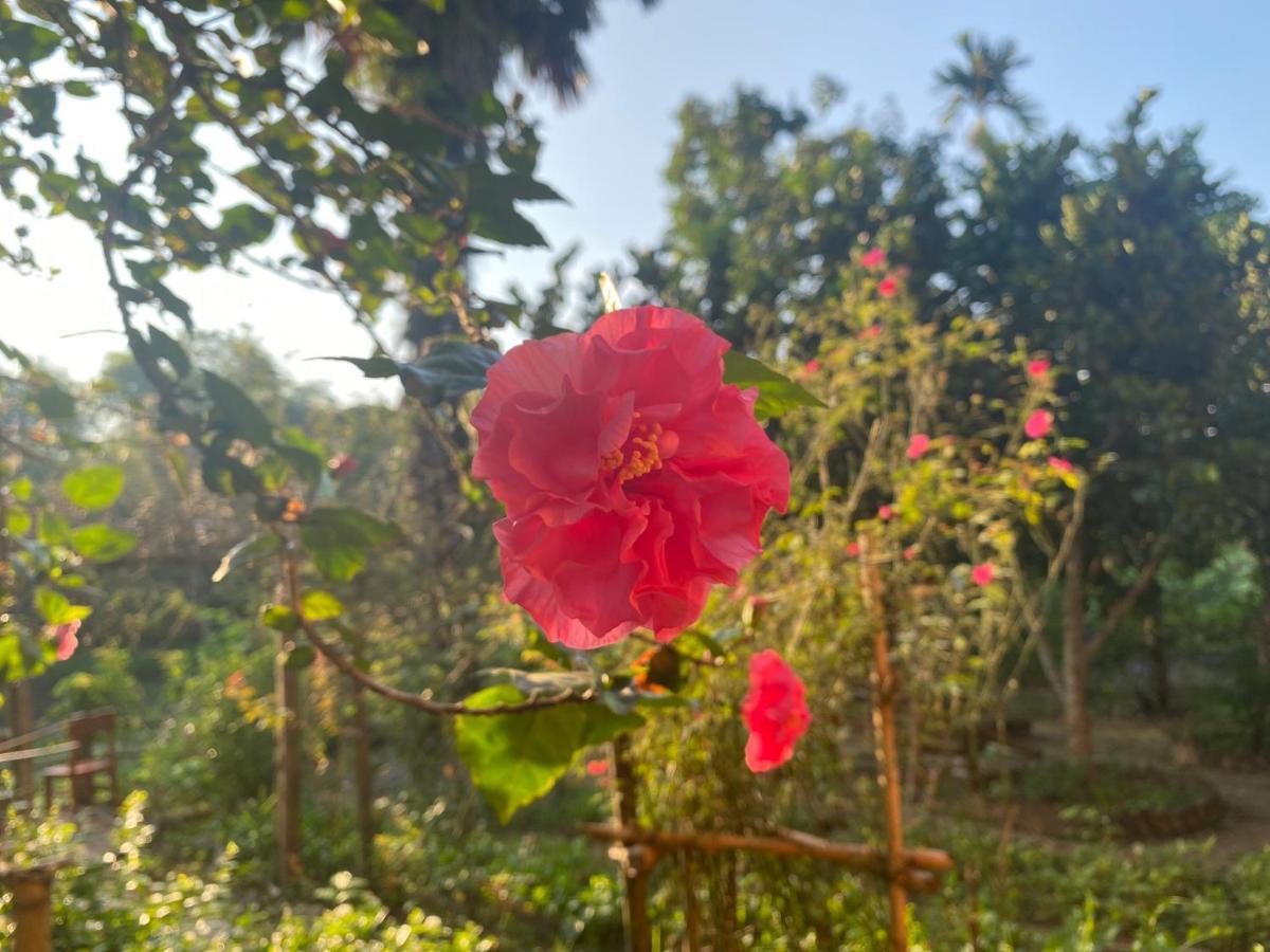 Muong Bi Homestay Hòa Bình Buitenkant foto
