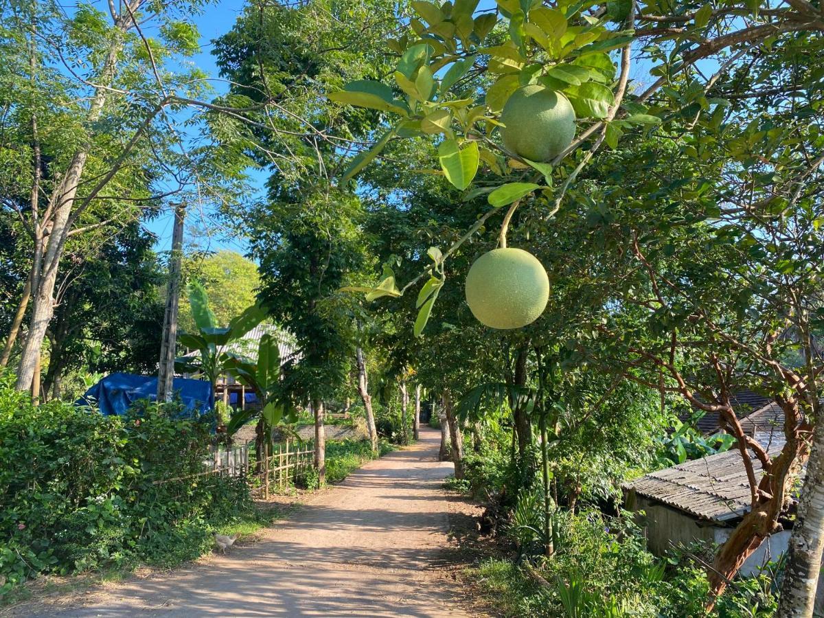 Muong Bi Homestay Hòa Bình Buitenkant foto