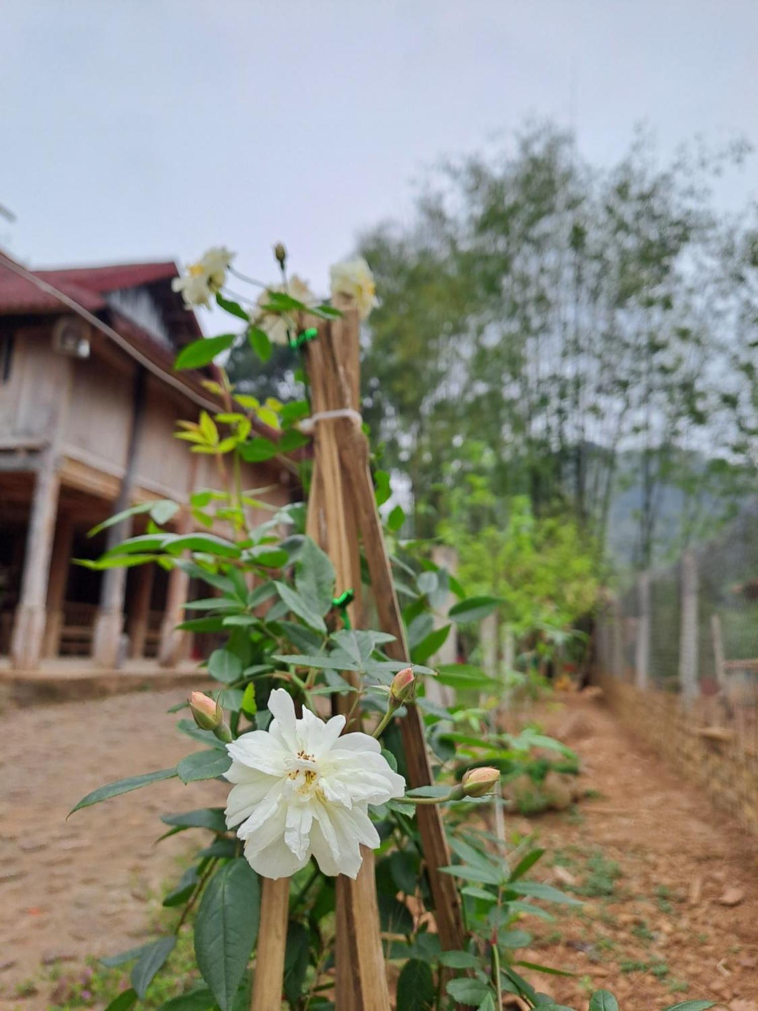 Muong Bi Homestay Hòa Bình Buitenkant foto