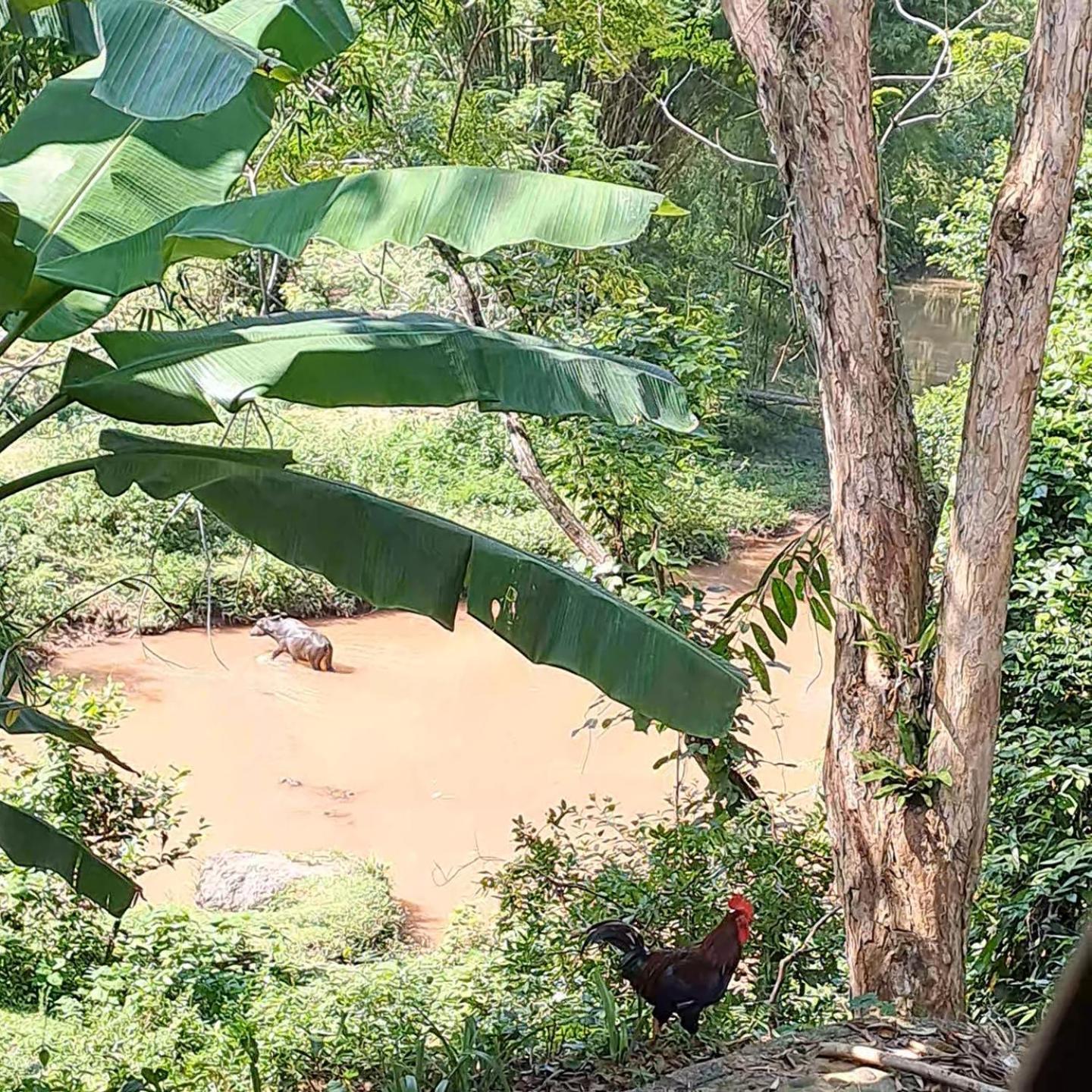 Muong Bi Homestay Hòa Bình Buitenkant foto