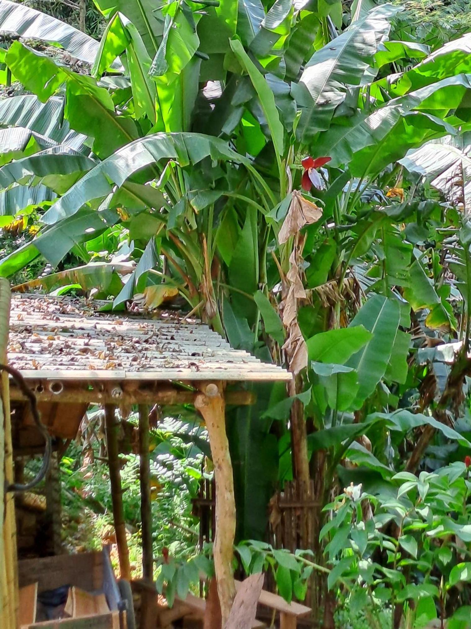 Muong Bi Homestay Hòa Bình Buitenkant foto