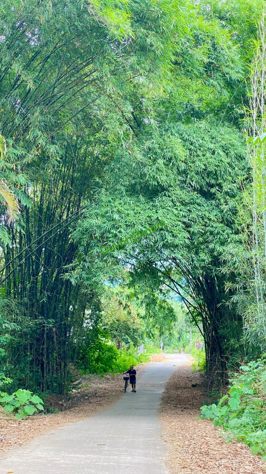 Muong Bi Homestay Hòa Bình Buitenkant foto